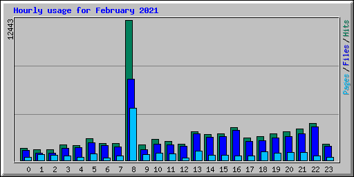 Hourly usage for February 2021